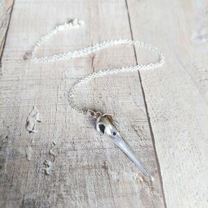 Bird Skull Necklace Halloween Necklace Long Beak